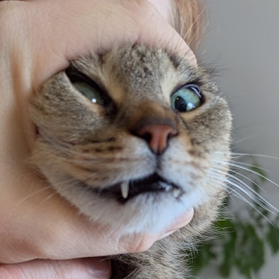 Marquee Image - norcia